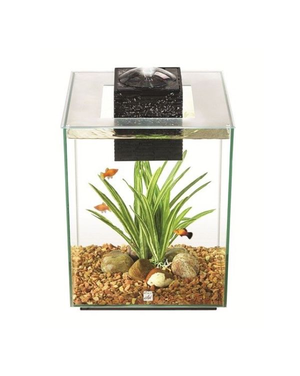 Aquário Fluval Chi