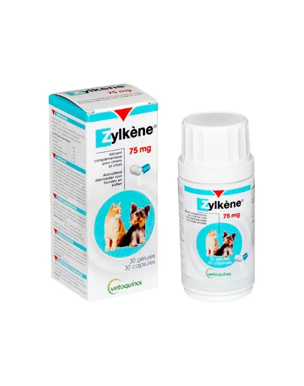 Zylkene 75 mg ayuda a minimizar la ansiedad en diferentes situaciones.